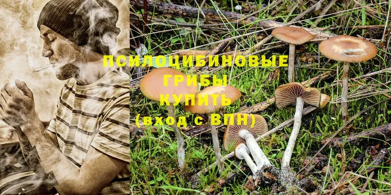 где продают наркотики  Тюкалинск  блэк спрут ONION  Галлюциногенные грибы MAGIC MUSHROOMS 